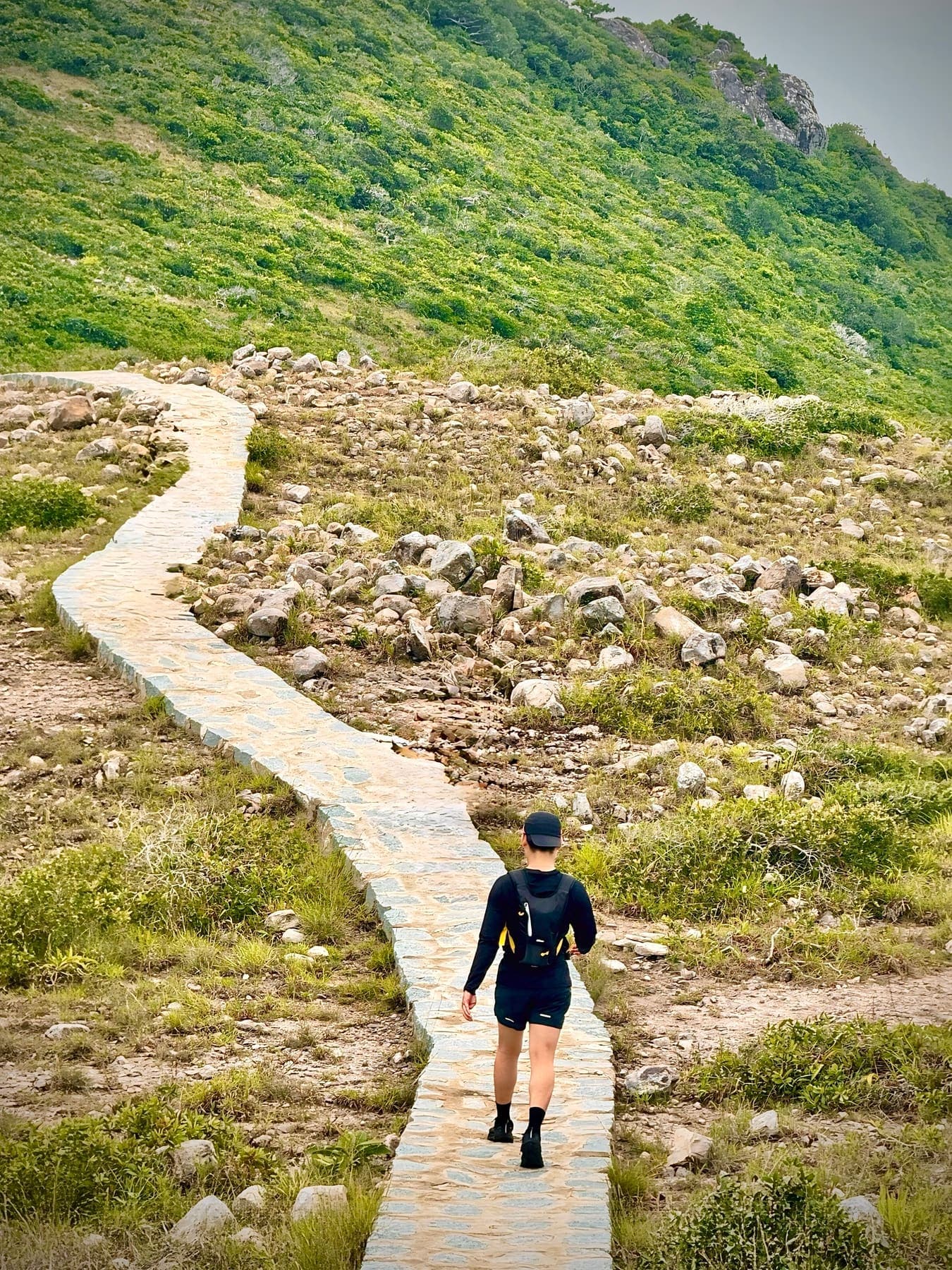 A hiker walking a stone path across a green hillside